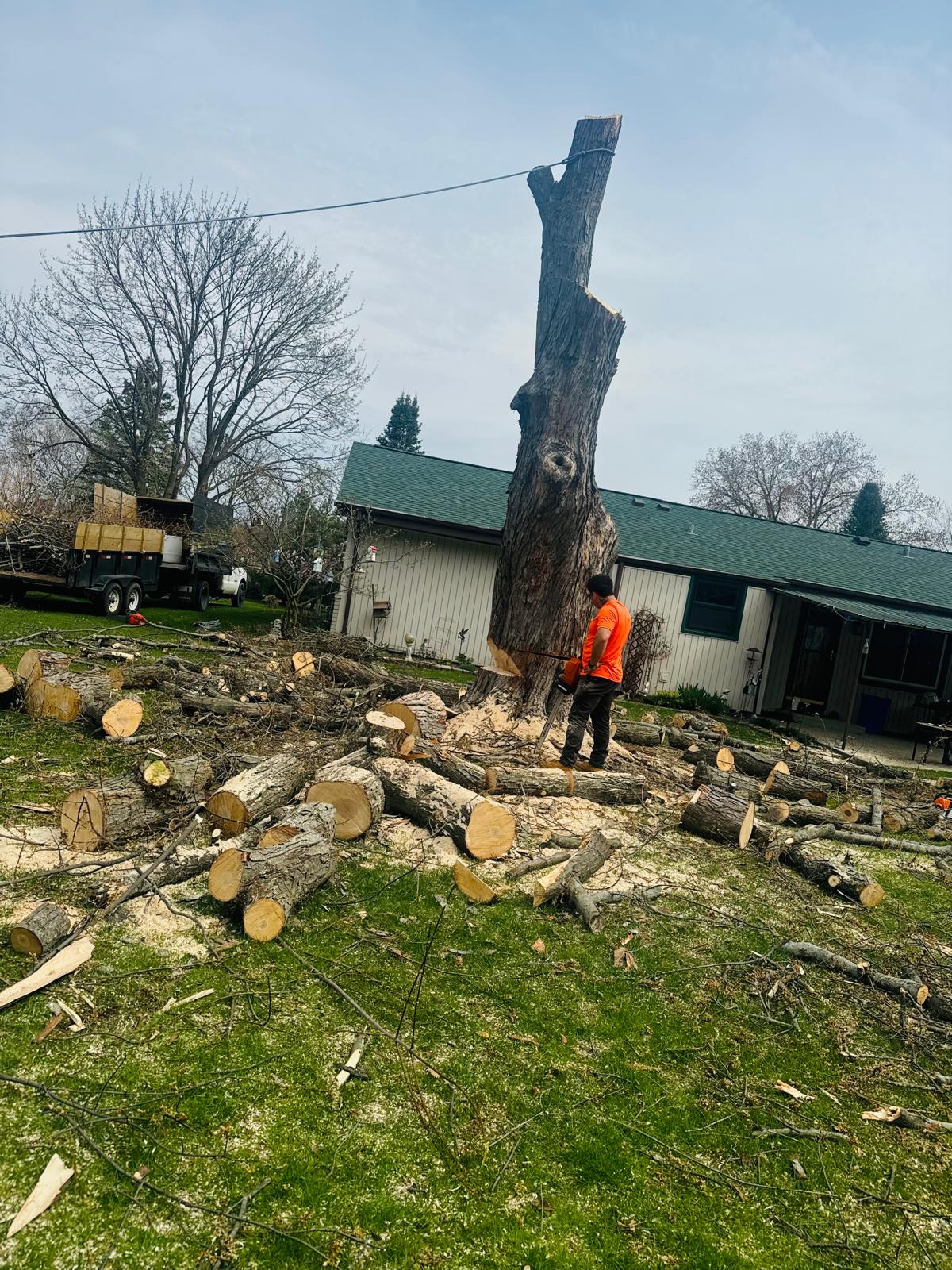 Clean and well-kept lawn after service