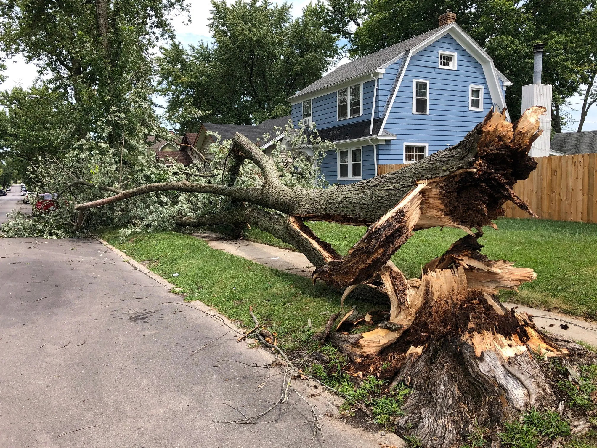 Storm Damage Cleanup